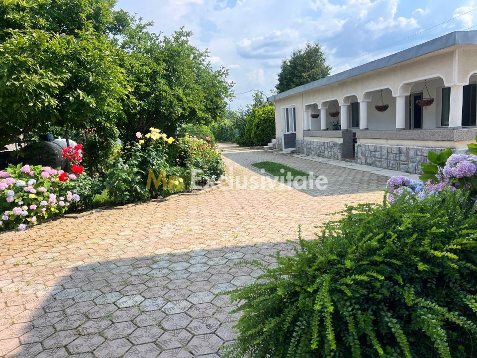 Casa visurilor cu 4000 mp livada roditoare si gradina Darmanesti-Arges - Poză 29