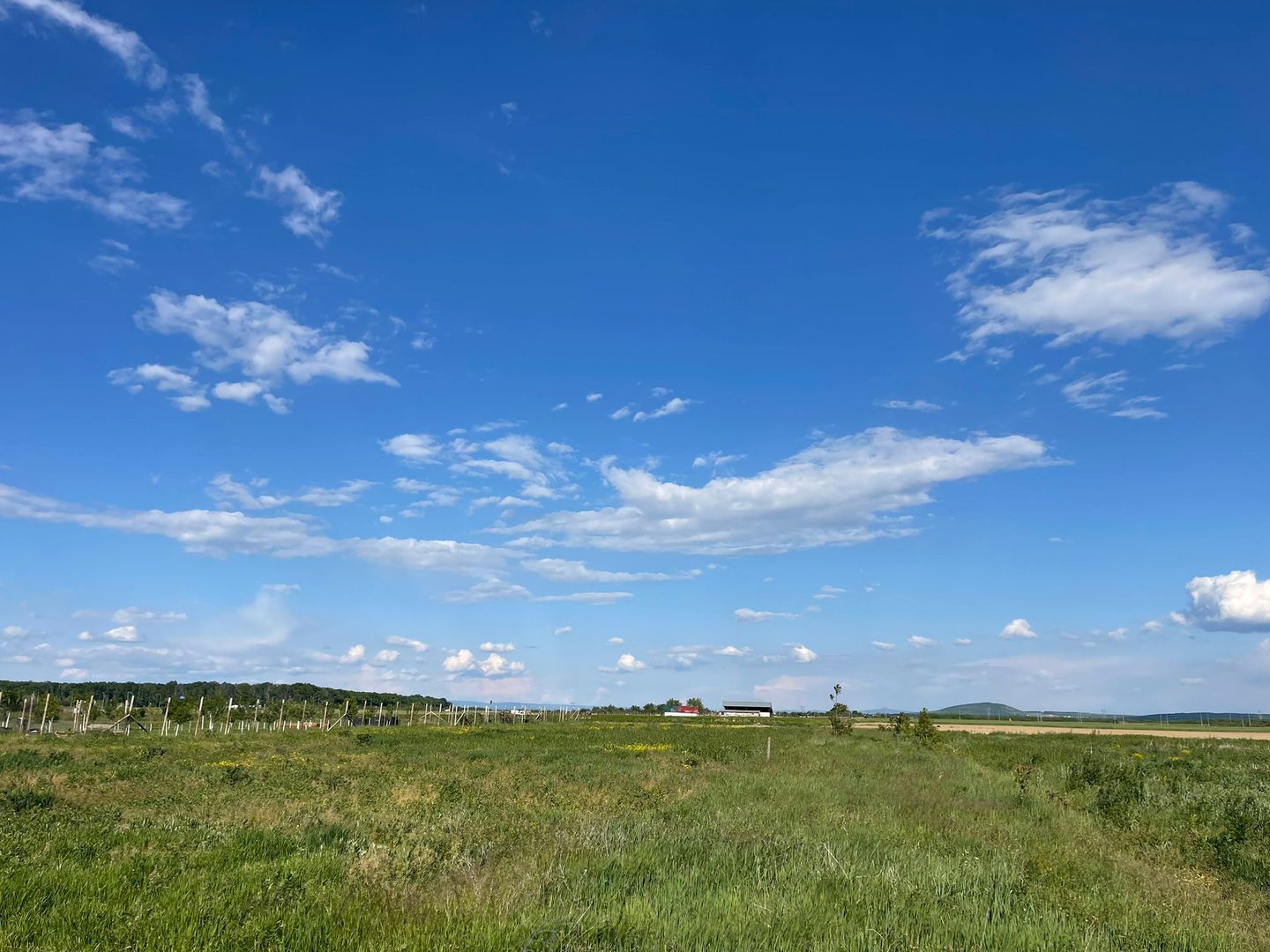 Parcele teren Nojorid 600 mp. 28 500 E neg. Comision 0 - Poză 3