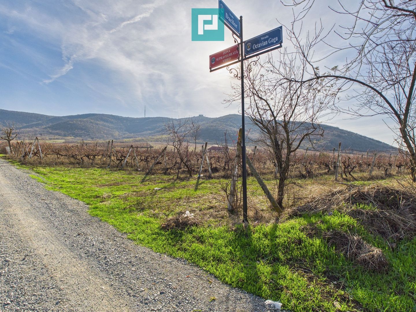 Casuță cu priveliște panoramică spre Cetatea Șiria - Poză 29