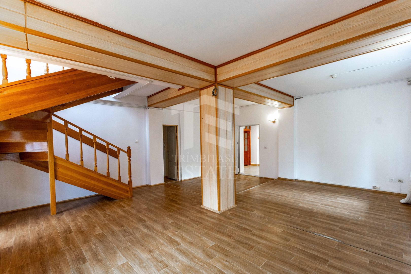 Aviatiei | Smaranda Braescu | Vila reprezentativa de inchiriat - Poză 8