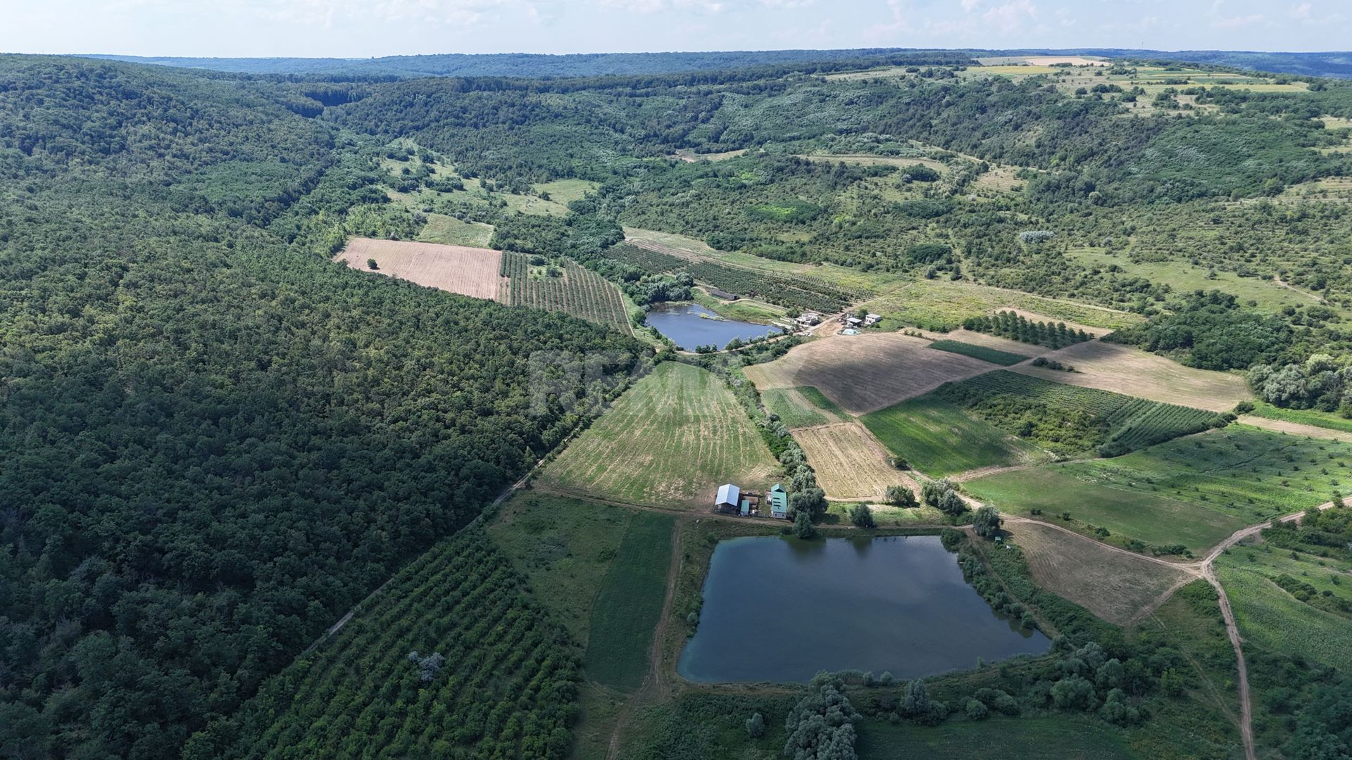 Teren de 6.2 Hectare cu Iaz propriu, lângă pădure – Vorniceni, Strășeni! - Poză 3