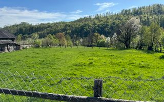 TEREN INTRAVILAN 2592 MP,  ALBESTI DE MUSCEL, ARGES - Poză 15