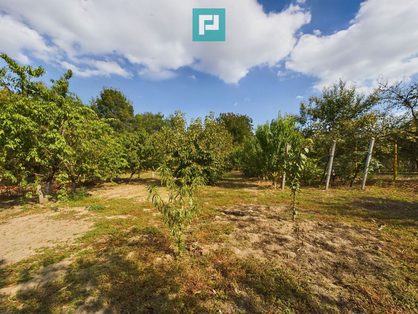 Casă cu teren 2877 mp, orașul Ineu - Poză 6