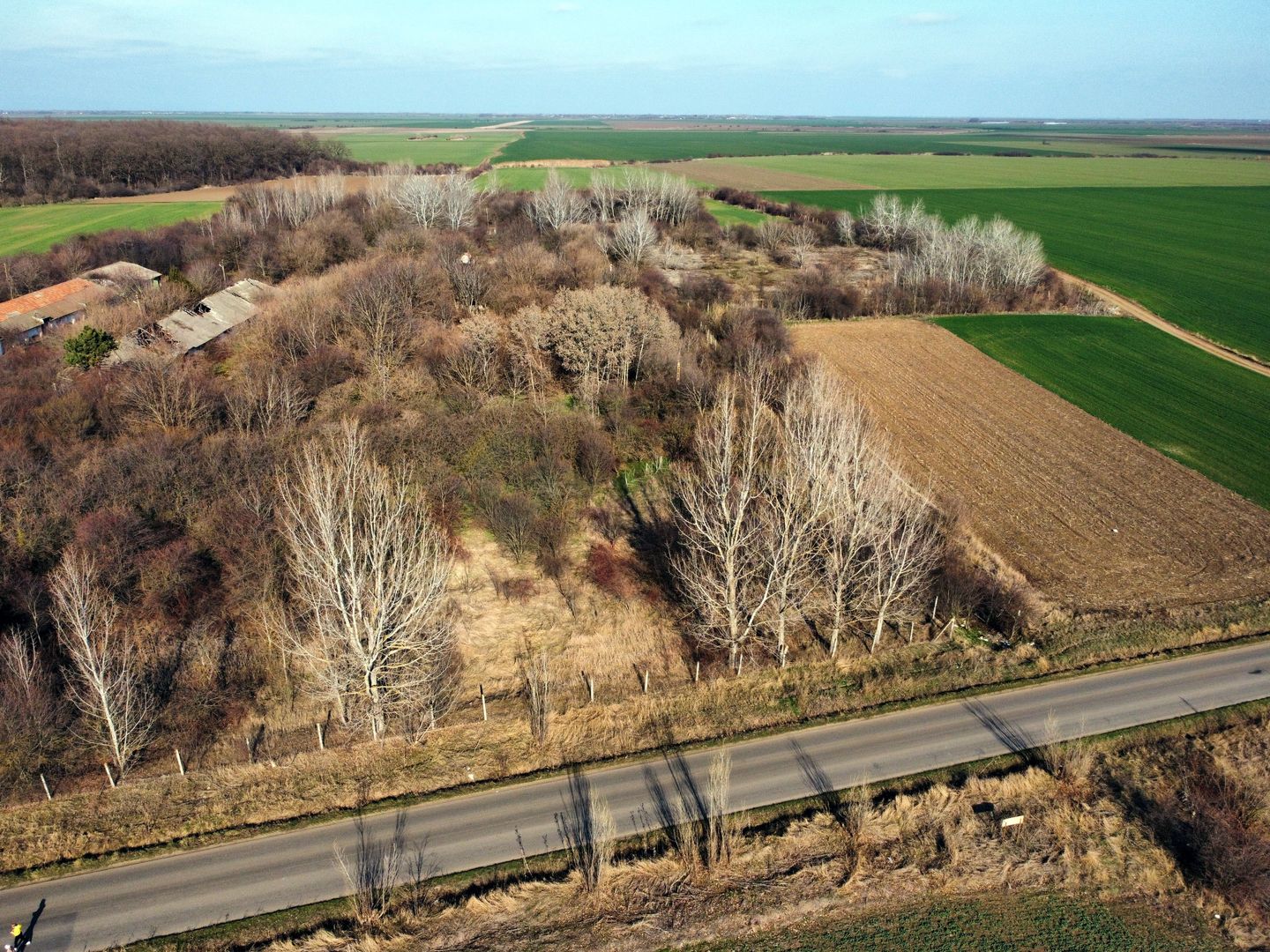 Ferma si livada de meri in judetul Ilfov - Poză 22