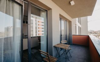 Apartament cu 2 camere/ Pet friendly/ zona Aradului - Poză 11