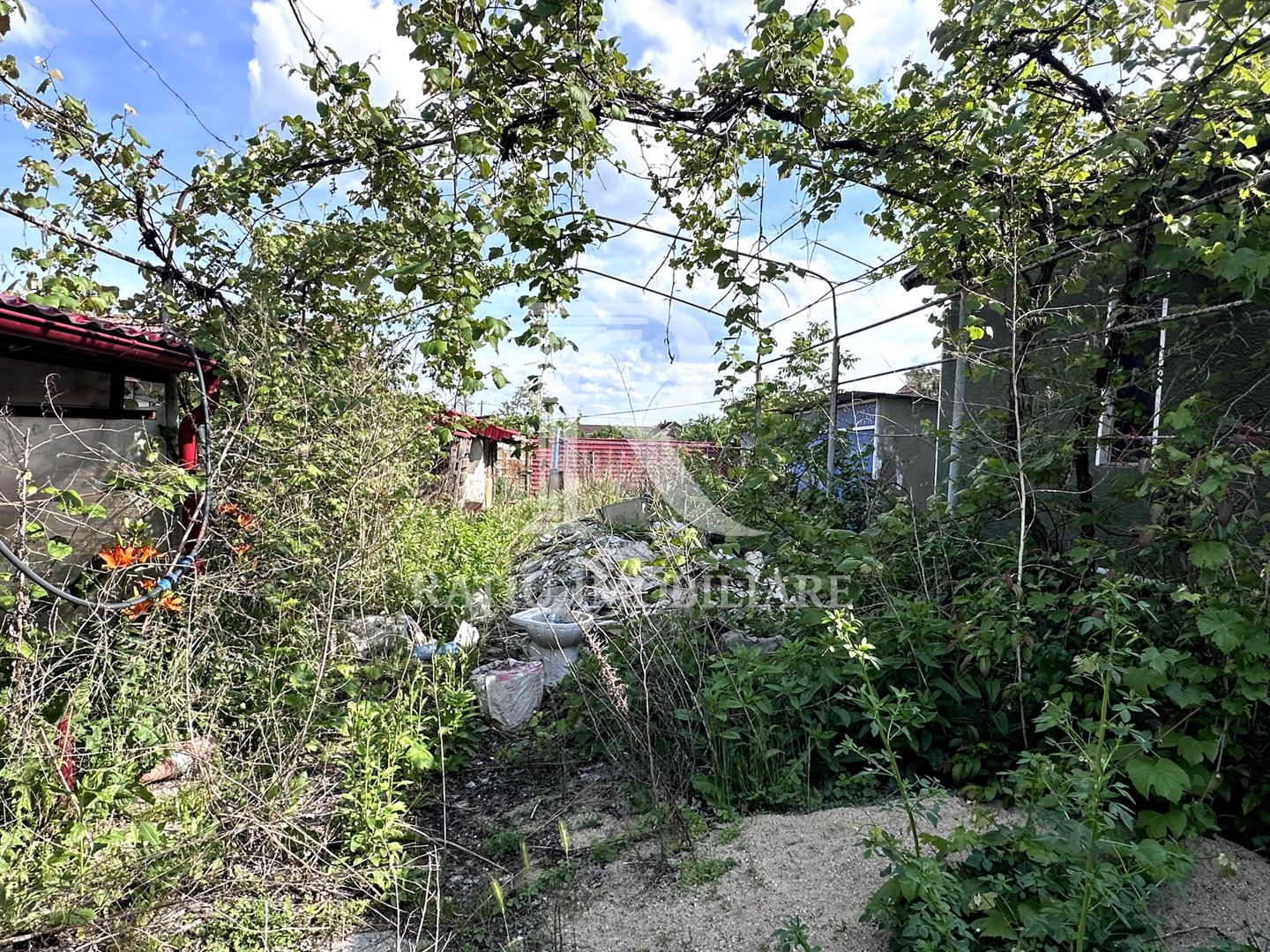 Casa cu anexe si pivniță | Teren intravilan generos | Sannicolau Roman - Poză 30