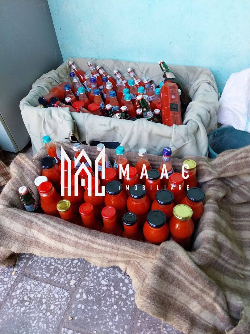 Proprietate cu 60000 mp pamant la pret de apartament - Poză 12