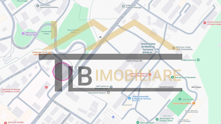 Apartament de 2 camere, 50 mp, parcare, Zona UMFST - Poză 8