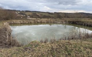 Pescărie cu teren intravilan | Drăgești | Bihor - Poză 4