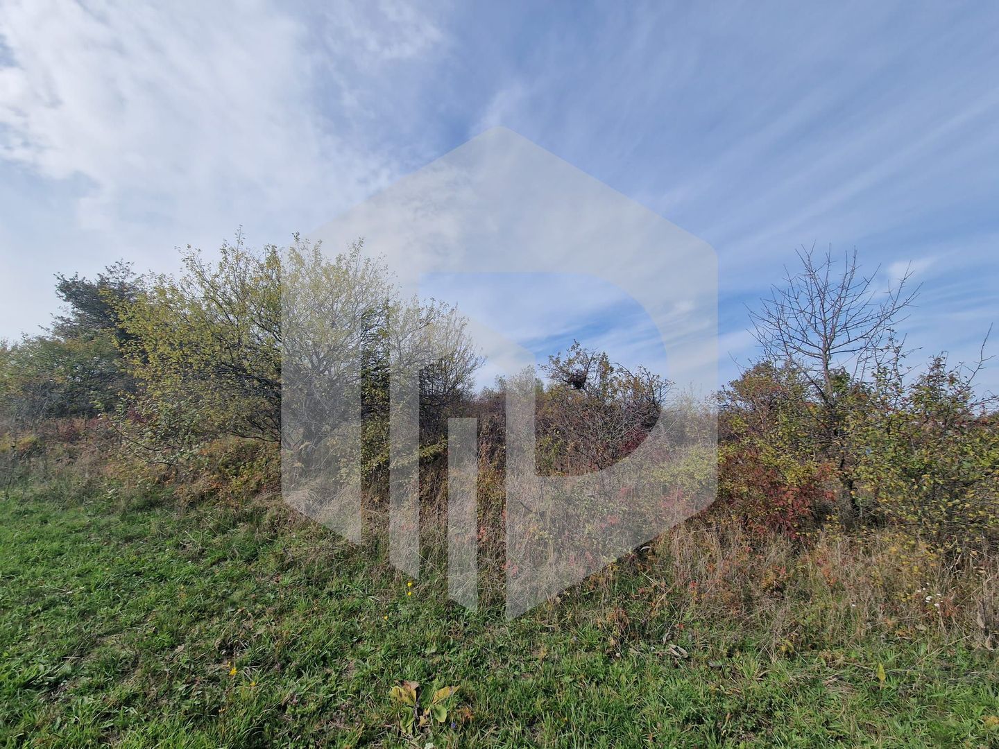 Teren de vanzare - 1500 mp - Daia Noua - Poză 3