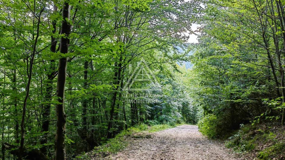 Casa,anexe si14.328 mp teren partial intravilan, com. Bulz, jud. Bihor - Poză 8