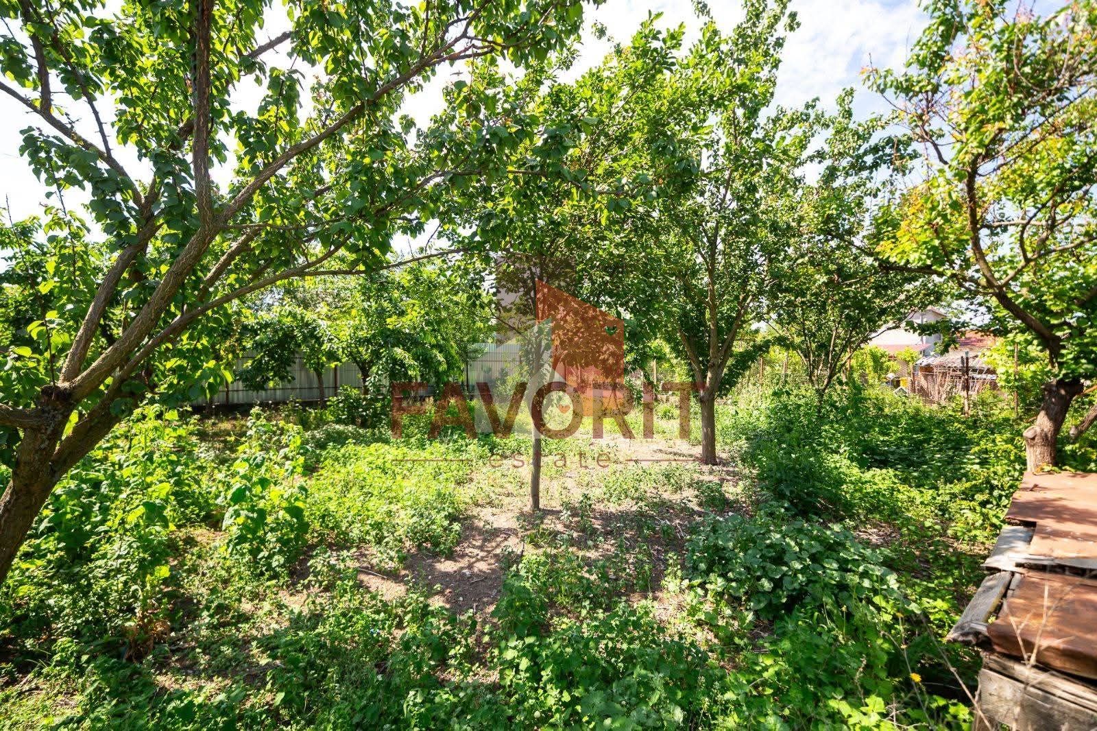 EXCLUSIVITATE – Comision 0% | Casa spatioasa | Santana - Arad - Poză 14