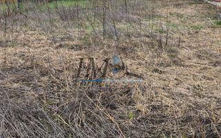 Casa batraneasca de vanzare in Tartaria - Poză 2