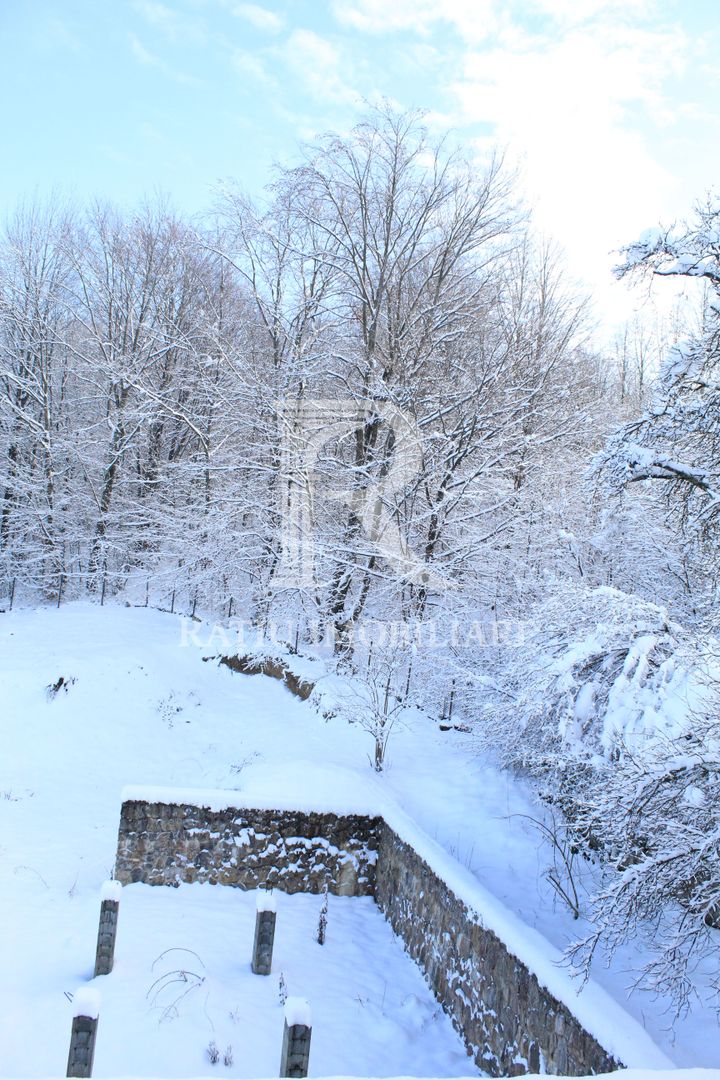 Proprietate rară | 4458 mp teren intravilan | Casă solidă, natură, liniște totală. | Bratca, Bihor. - Poză 53