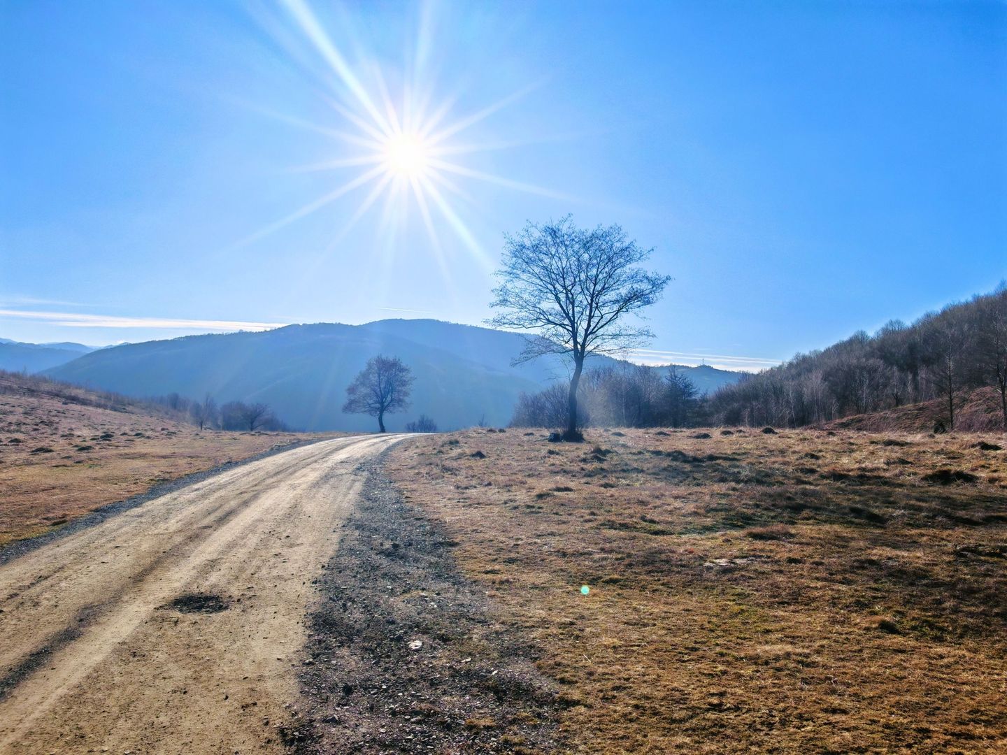 2,2 Ha TEREN INTRAVILAN PANORAMIC, in Muntii Apuseni NEGRENI – CLUJ - Poză 1