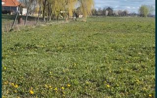 Vind teren intravilan Decebal - Poză 4