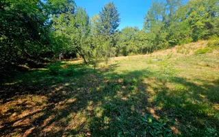 Teren intravilan 2322 mp, Păcuri – vedere superbă spre pădure! C.U. - Poză 12