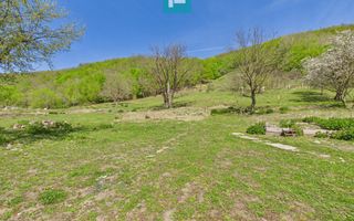 Teren  pentru investiții  în Luncoiu de Jos - Poză 7