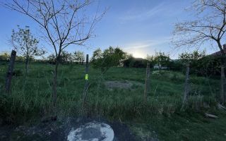 6.000 mp intravilan sat Avintu - Poză 5