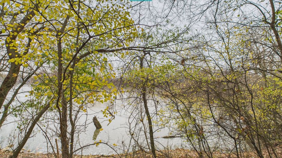 Teren spectaculos la  Periam Port - Poză 19