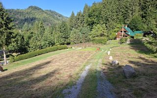Teren intravilan la munte - Poză 4