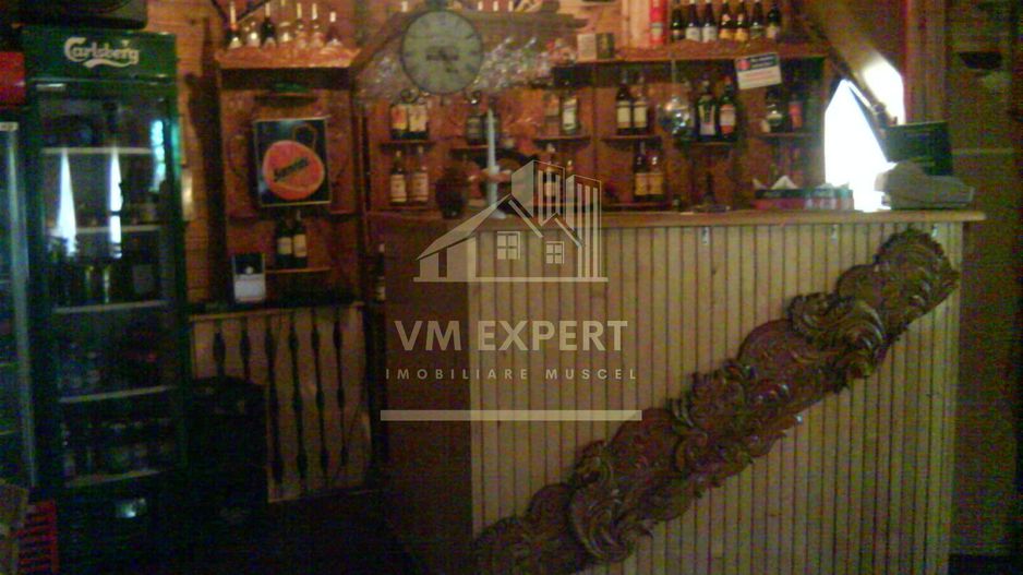 VILA - PENSIUNE CU RESTAURANT + SI TEREN 6406 MP, VALEA MARE PRAVAT, - Poză 15