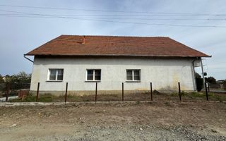 Individuiala Biled P+M,9 Camere,Teren Generos,Toate Utilitatile,2 F.S - Poză 3