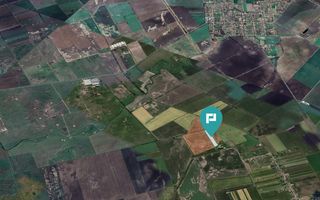 Teren extravilan de 28900 mp în Variașul Mare - Poză 3