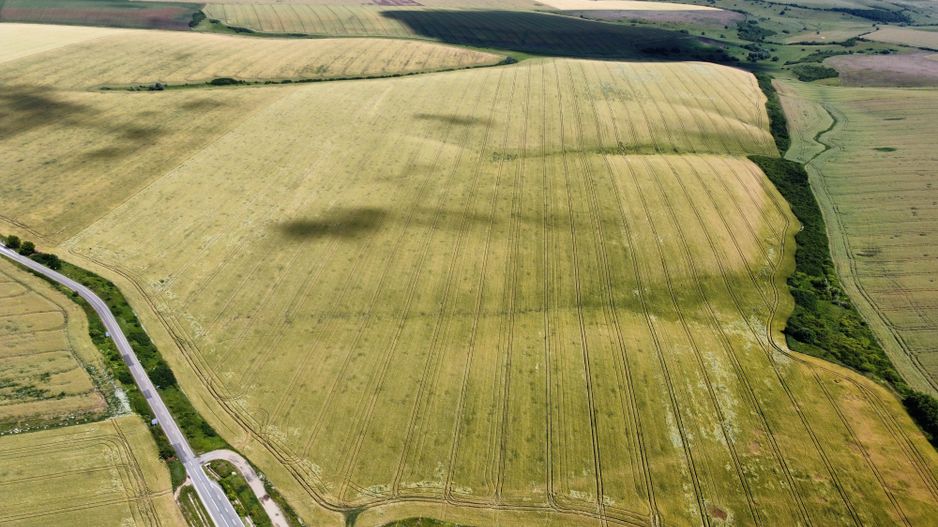 Teren la sosea Ortisoara - Autostrada A1 - Poză 19