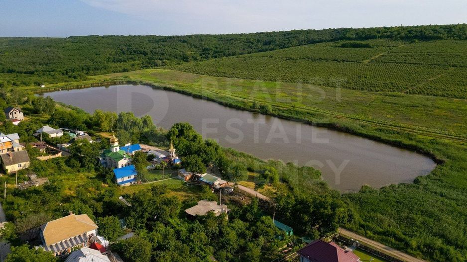 Vânzare, teren agricol 6 ari, Codru - Poză 11