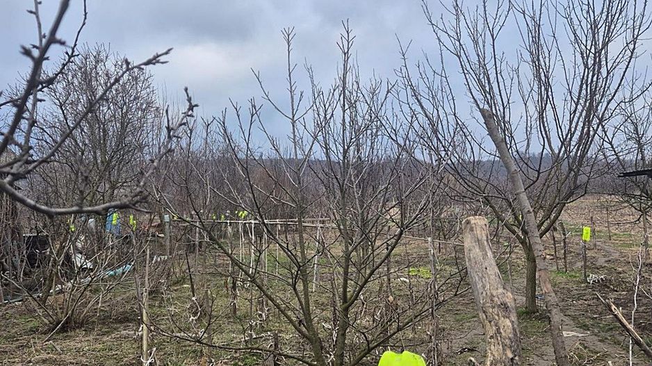 Casa cu teren 4000 mp in Bogei, Bihor - Poză 4