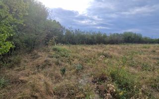 Vanzare teren intravilan, Smeura - Poză 3