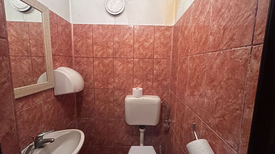Spatiu comercial de inchiriat zona Bou Rosu - Poză 10