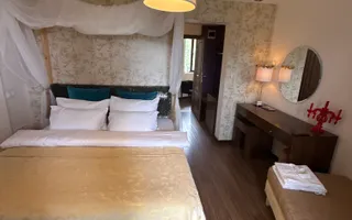 Villa de LUX - Comercial / Rezidential - zona Cioplea/Predeal - Poză 19