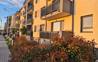 Exclusivitate -  3 camere,  bloc nou,  gradină, loc parcare, pet friendly