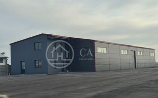 Hala de inchiriat, situata la intrare in Livada, Bihor - Poză 3