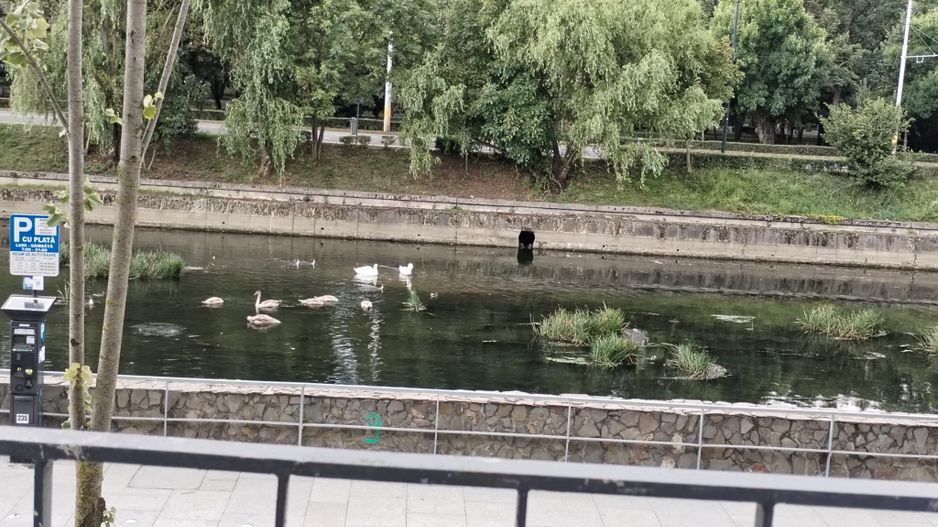 Apartament ultracentral strada Mamaia - Poză 17
