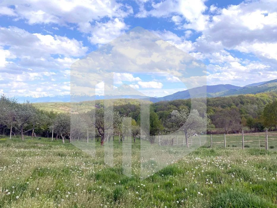 Teren cu priveliste-Puz Cisnadie. Pretabil case vacanta sau locuinte - Poză 4