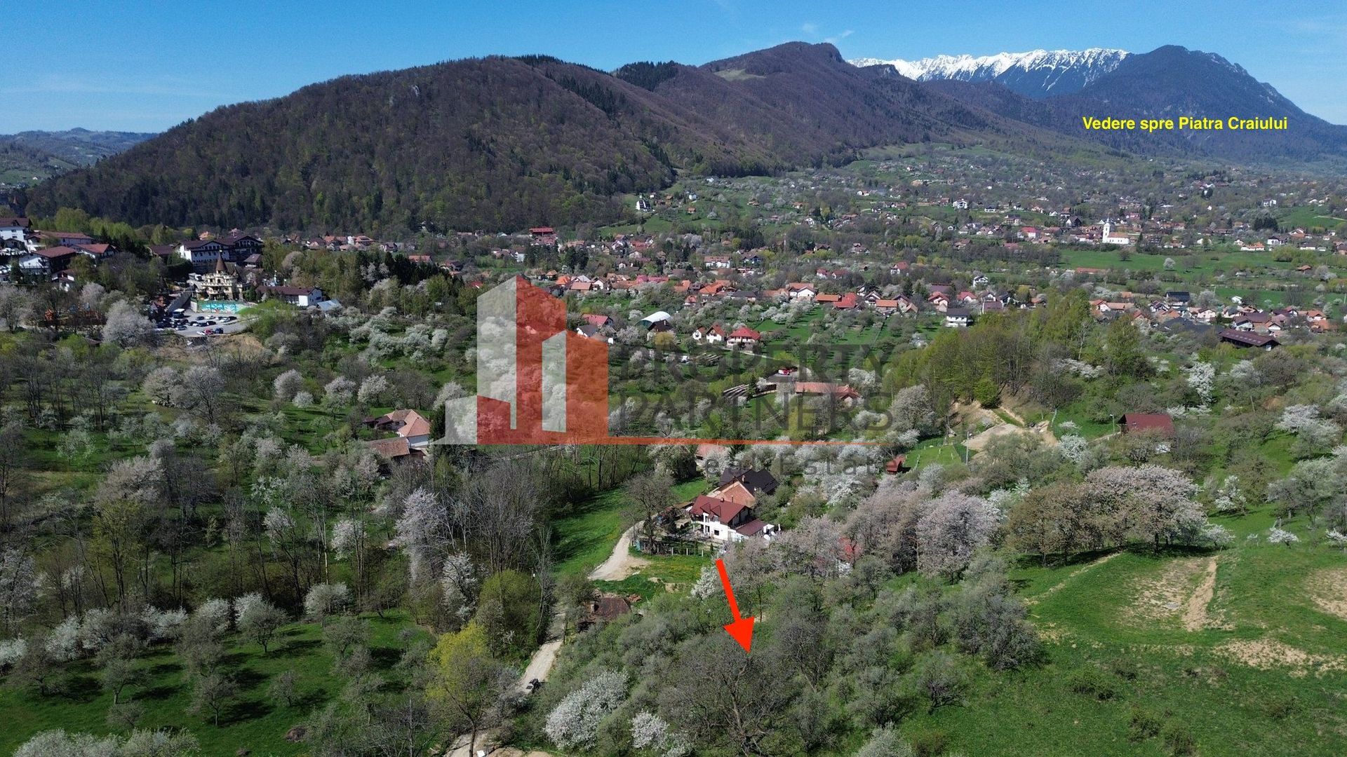 Teren 2500 mp Sohodol - Poză 3