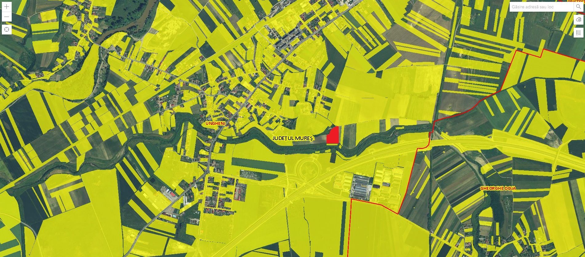 P 1193 - Teren de 10600 mp în jud. Mureș, Ungheni - Poză 3