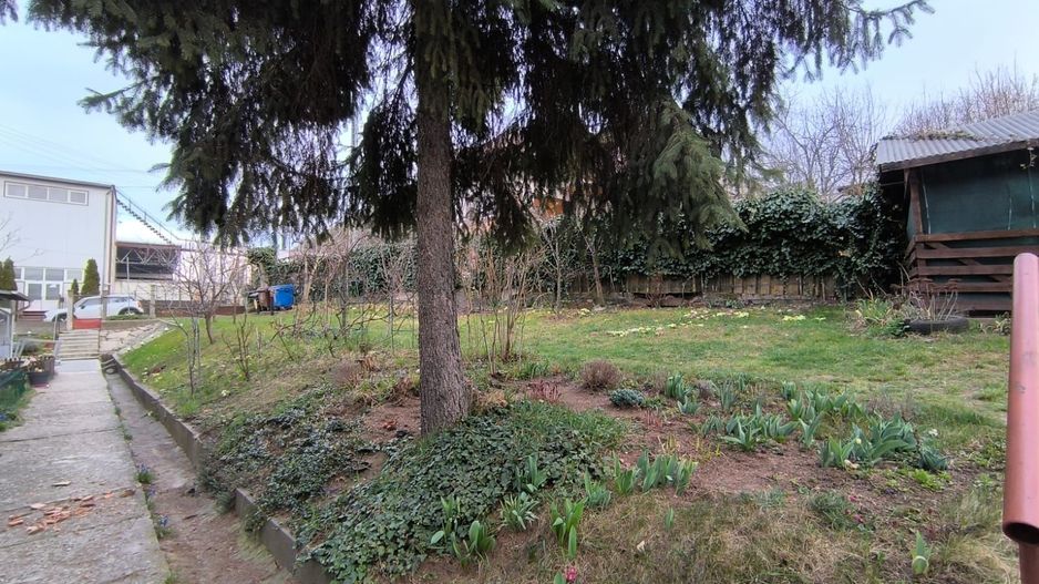 Apartament tip studio cu gradina Gruia strada Migdalului - Poză 10