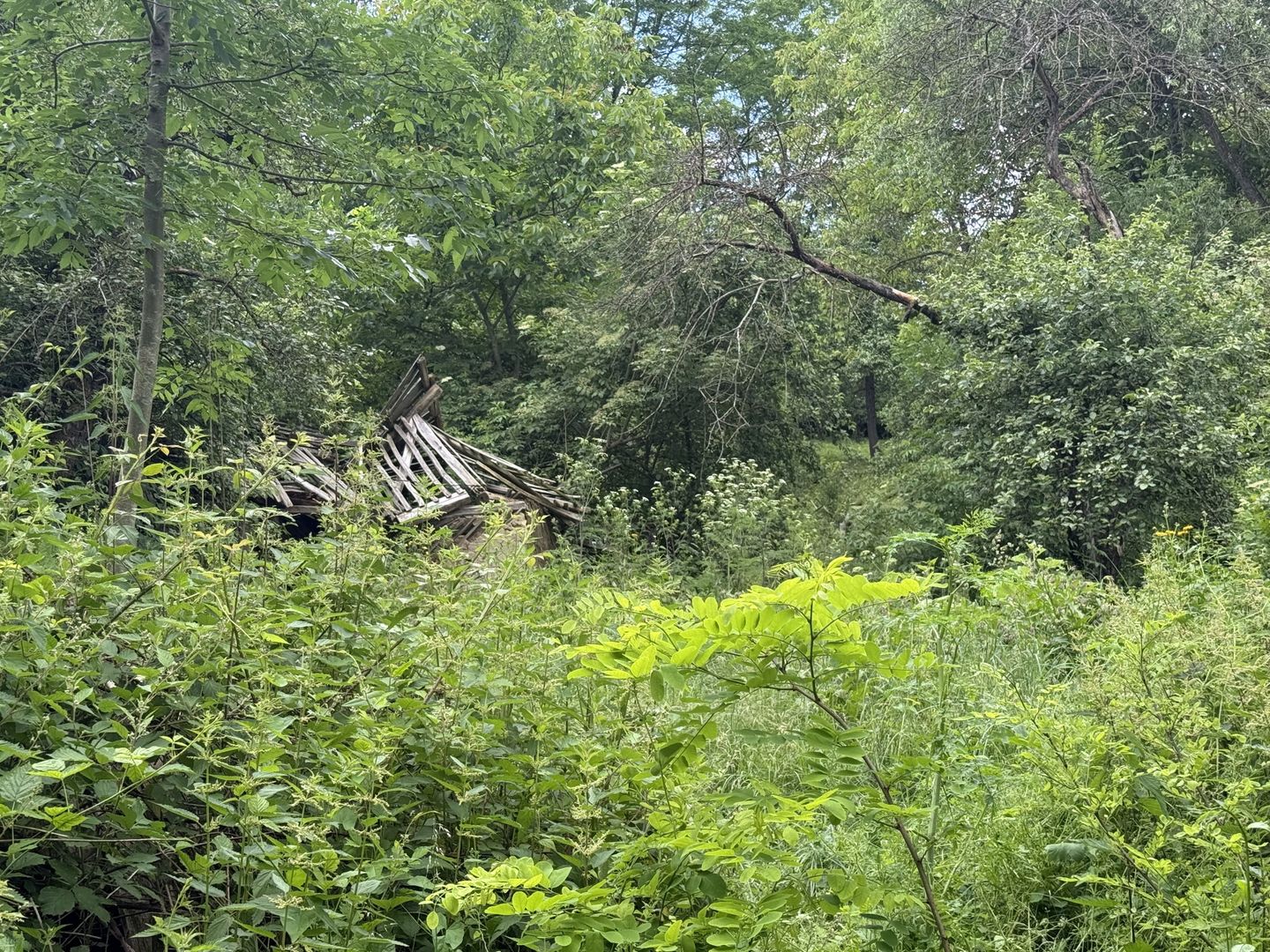 Teren intravilan 683 mp deschidere la strada asfaltata ! - Poză 9