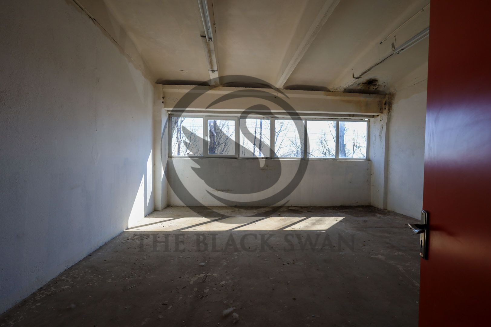 Hala industriala de vanzare | Mihai Bravu, Ploiesti | COMISION 0% - Poză 3