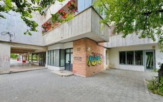 Spațiu comercial de închiriat, 80 mp, Șoseaua Nicolina, Iași – Parter, 2 intrări - Poză 1