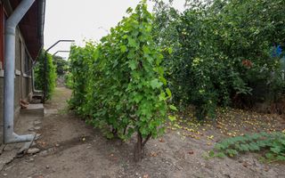 Casa cu 5 camere de vanzare | Dumbrava, Prahova I Comision 0% - Poză 17