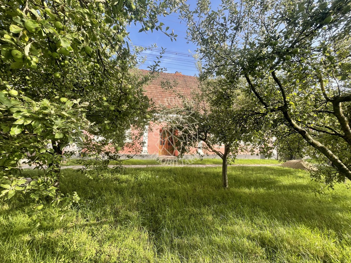 OFERTA! Casa saseasca 3 camere 105 mp-investitie-Livezile - Poză 4