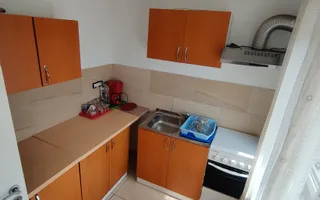 CASA INDIVIDUALA SI HALA CU TEREN  4000 MP - Poză 20