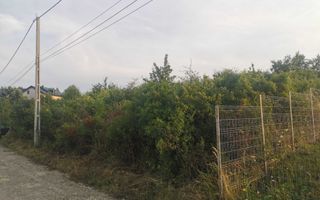 Teren Iasi barnova  visani, - Poză 8