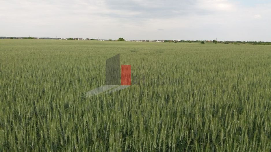 Teren Buftea cu iesire la lac - Poză 7