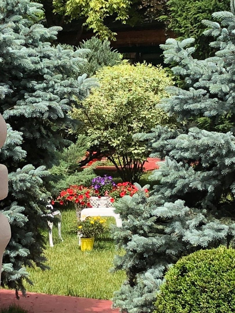 PROPRIETATE CU ENERGIE PURA |  Sanctuarul Eleganței și Rafinamentului - Poză 19